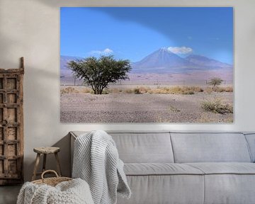 Atacama Desert View by Oscar Leemhuis