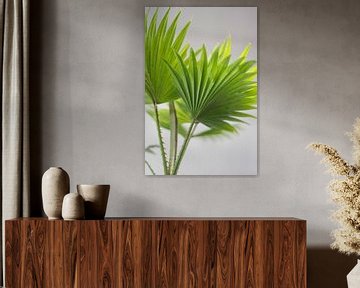 Palm (blad) by Jeantina Lensen-Jansen