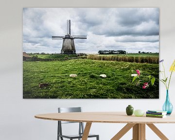 Dutch Mills - Sheeps lying on the meadow van Emel Malms