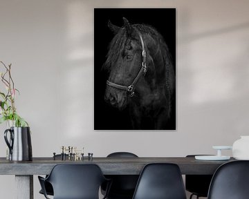 paard portret van Lisan Geerts