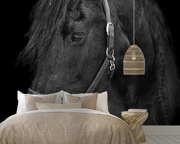 horse portrait by Lisan Geerts