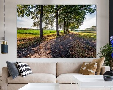 Rangée de grands arbres dans un paysage aux couleurs d'automne