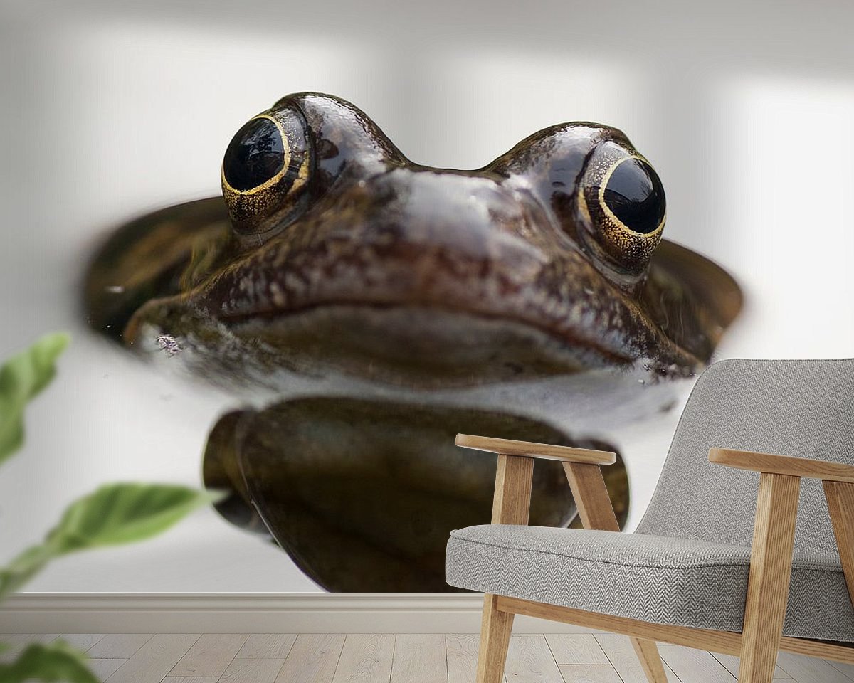 Raumvorschau