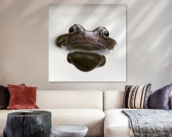 Raumvorschau