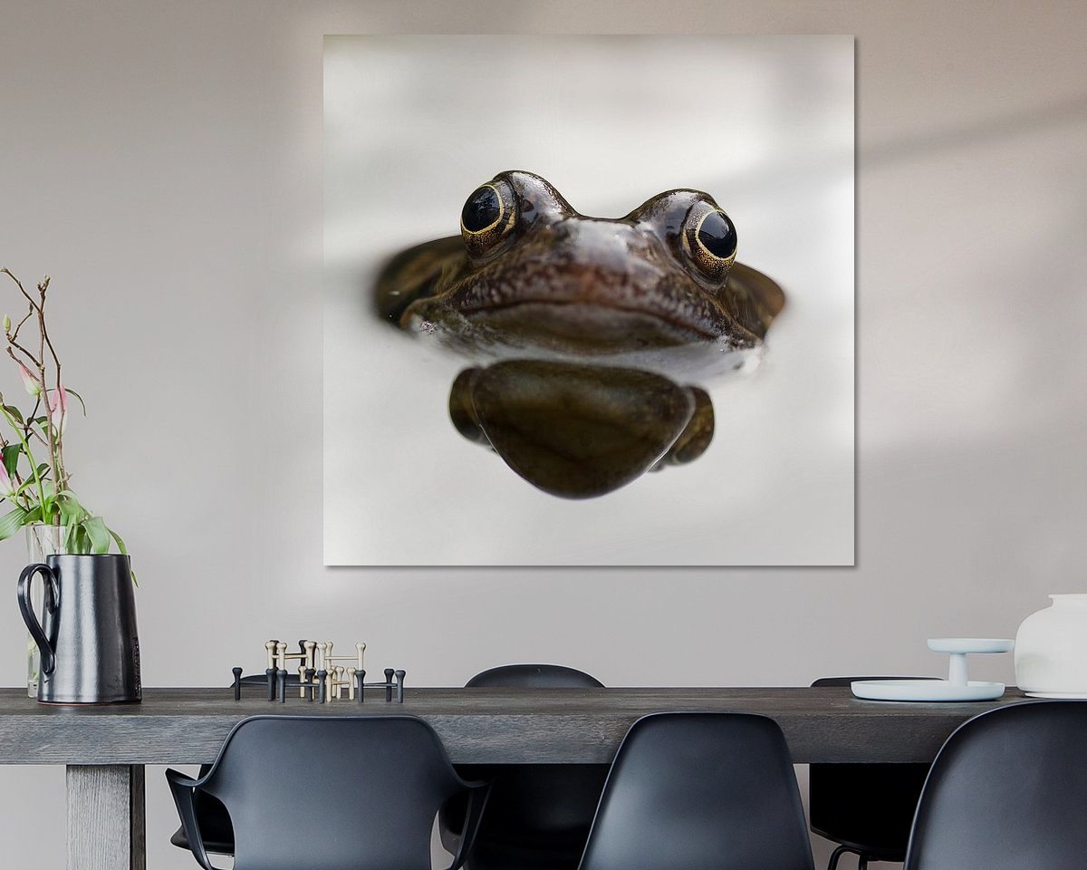 Raumvorschau