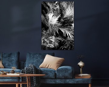 wild palm tree van Dorit Fuhg