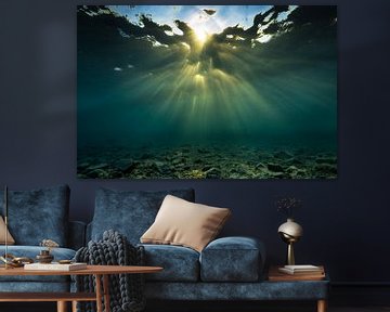 Underwater god rays/sunburst by Eric van Riet Paap