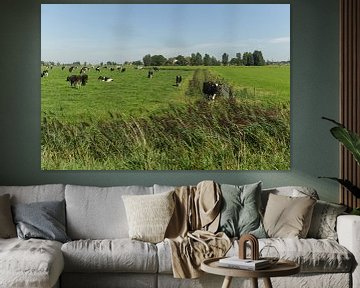 Friese landschap met koeien in de weide van Hans Oudshoorn