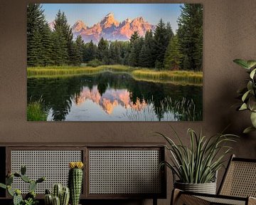 Grand Teton reflectie #1 van Edwin Mooijaart