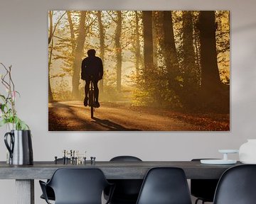Silhouette eines Mountainbikers im Herbst von Martin Bergsma