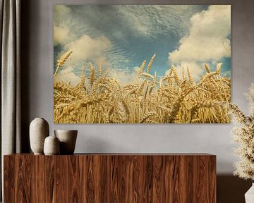 Vintage foto van een korenveld met mooie lucht van Seasons of Holland