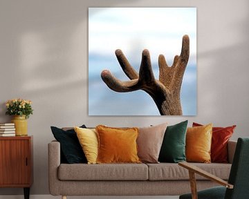 Antlers sur Artstudio1622