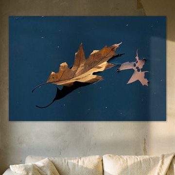 Herfstblad van Jim van Iterson