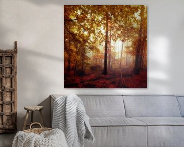 Forest in Autumn Colours van Dirk Wüstenhagen