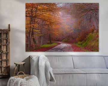 Herfstbergweg met rode en oranje bladeren en mist