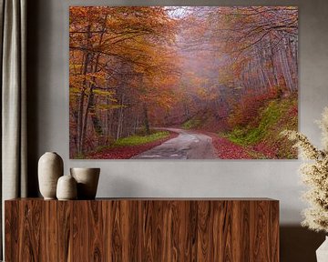 Herfstbergweg met rode en oranje bladeren en mist