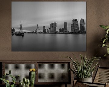 Skyline van Rotterdam in zwart en wit
