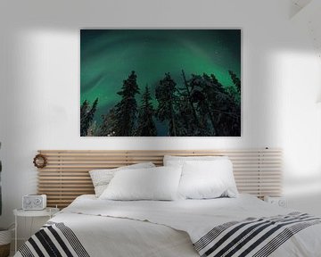 Aurora borealis in Lapland von Kim Claessen