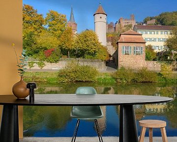 Wertheim am Ufer der Tauber