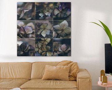 Hydrangea-collage von Rob van der Pijll