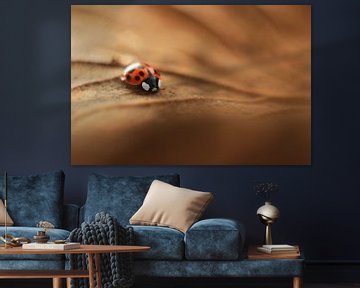 Little Ladybug van Michelle Zwakhalen