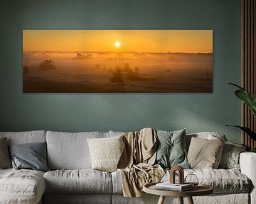 Sunrise at Kootwijkerzand - Panorama sur Edwin Mooijaart