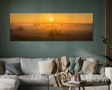 Zonsopkomst in Kootwijkerzand - Panorama van Edwin Mooijaart