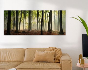 Magic in the Forest #1 Panorama by Edwin Mooijaart
