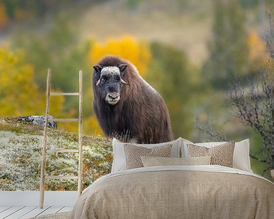 Voorbeeld van het werk in een kamer