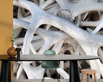 Gewei, panorama van Esther Hereijgers