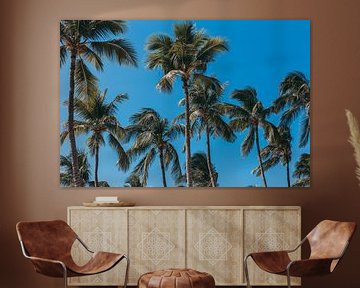 Palmbomen op een zonnige dag met een blauwe lucht. van Aruba Paradise Photos
