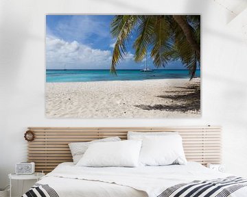 Een mooi paradijs strand met palmboom op de voorgrond von Aruba Paradise Photos