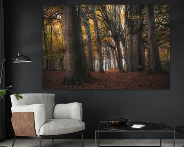 Forêt sur Photo Wall Decoration