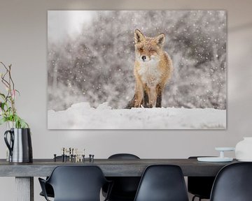 Rode vos in de winter tijdens een sneeuwbui van Menno Schaefer