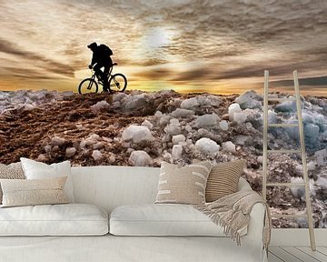 Mountain biker on iceberg by Art by Fokje