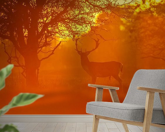 Voorbeeld van het werk in een kamer