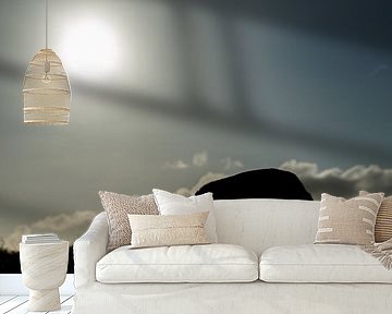 Silhouette van een vos