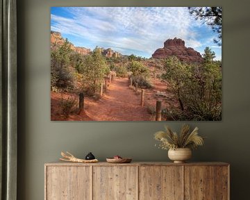 Bell Rock Sedona by Ton Tolboom