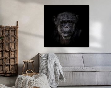 Schimpanse | Dunkles Tierporträt von Ron Meijer Photo-Art