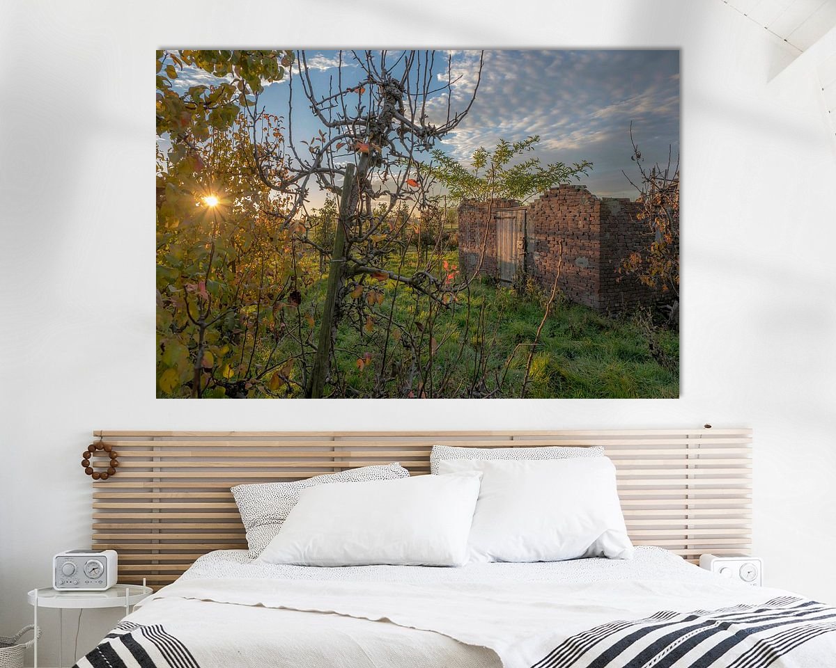 Aperçu de la chambre