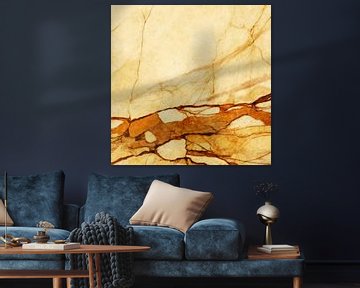 MARBLED ABSTRACT BEIGE ORANGE