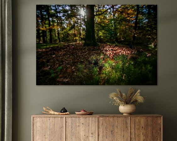 Aperçu de la chambre