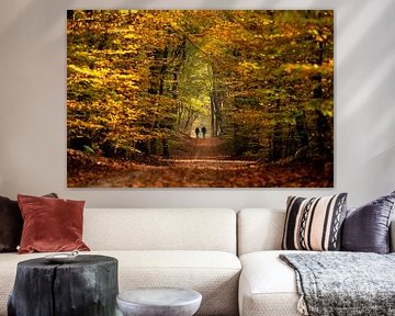 Wandelen in een sprookjes herfst bos van Fotografiecor .nl