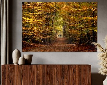 Walking in a fairytale autumn forest by Fotografiecor .nl