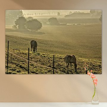 Two horses in a foggy meadow