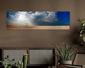 Panorama Horsplaat Texel van Martijn Smit