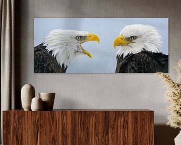 Weißkopfseeadler-Doppelporträt von Harry Eggens
