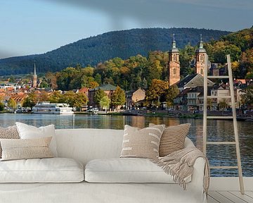 Miltenberg in der Abendsonne