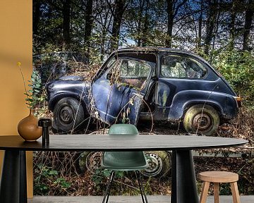 Oldtimer-Auto Fiat 600 im Wald von Inge van den Brande