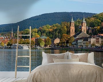 Miltenberg in der Abendsonne